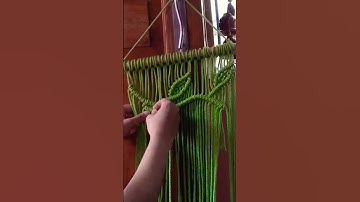 macrame vines