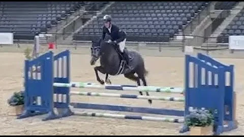 Sequoia ** Young Horse Show Finals Round 1