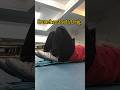 Day 31 fat to fit journey chest and abs #fatloss #weightloss #motivation #gym #explorepage