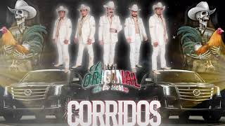 Corridos Perrones💥💥Los Tucanes De Tijuana