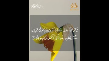 سورة الانفطار || AlInfitaar ان الابرار لفي نعيم