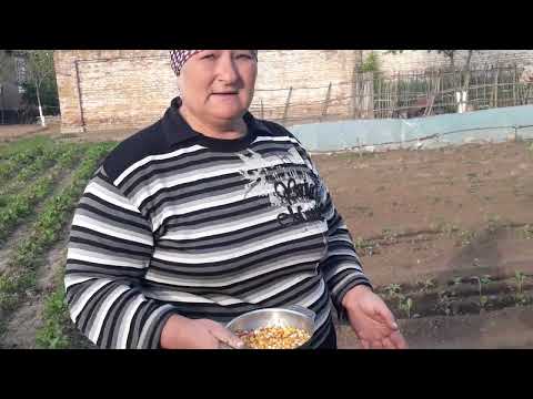 Если сделать так,