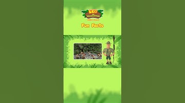 Proboscis Monkey | Fun Facts | Leo the Wildlife Ranger #shorts