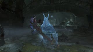 The Elder Scrolls Vskyrim Haknir Death-Brand Boss Fight Expert Difficulty