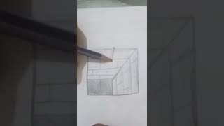 illusion art / man traps in walls / #shorts #youtubeshorts