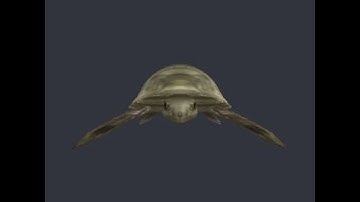 3D Model of turtle - file Cadnav.com_B0713012.max