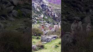Горный Алтай #mountains #nature #travel #adventure #altay