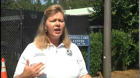 Horry County Animal Care Center overcrowded, asking for public's help
