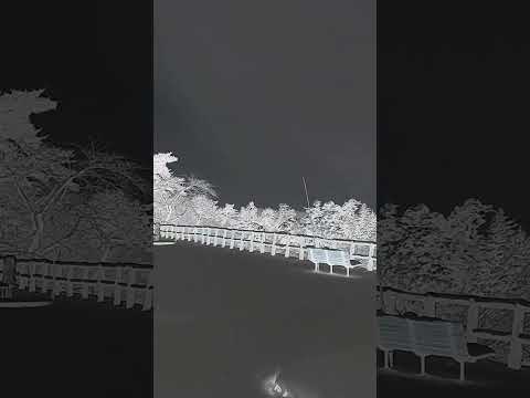 真冬の弘前公園 / Hirosaki Park in winter #shorts #弘前城 #雪国