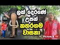 Kataragama Wasana Tusker -  One of The Most Famous Elephant in Sri Lanka