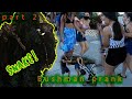 bushman 71 part 2 snake diversion part 2