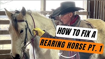 D/C  HOW TO FIX REARING IN A HORSE - Part 1