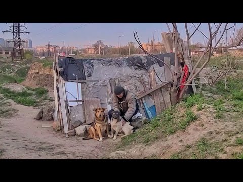What does a Homeless Man do with 30 Stray Dogs ?