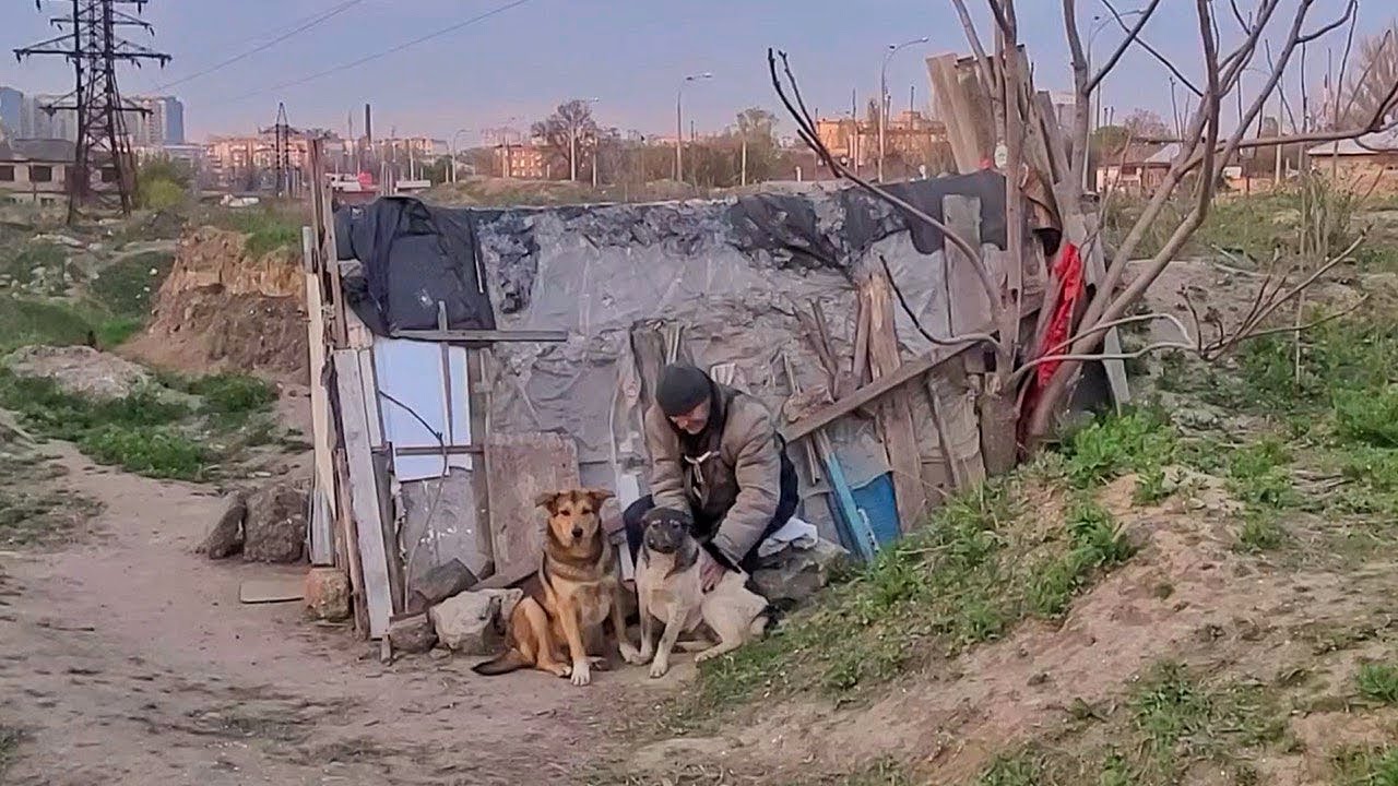 What does a Homeless Man do with 30 Stray Dogs ?