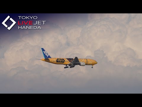 - LIVE - 羽田空港 ライブ カメラ 2025/9/10 TOKYO International Airport HANEDA HND Plane Spotting