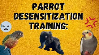 Desensitization : The ESSENTIAL Parrot Training Technique | TheParrotTeacher