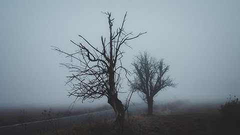 INTERSTICE | Released Restraint (Official Video)