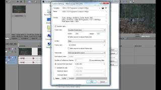 Vegas Pro 9.0c - Problem with MainConcept AVC/AAC Render Settings