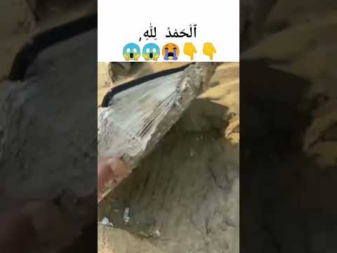 Power of Quran Subhan Allah- Miracle of Allah #islam #allah #shorts
