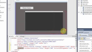 Accediendo a una Base de Datos con WPF en C#