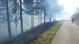 CANTABRIA | Incendio forestal en Valle, municipio de Ruesga (11/03/2018)