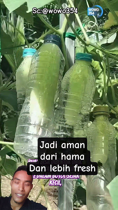 manfaatin botol bekas‼️