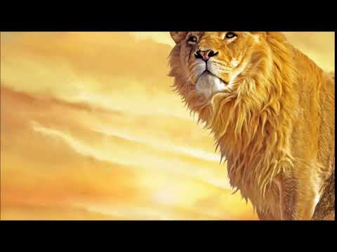 Animals - Lion Roar Sound Effect - Song Download from Hollywood Sound  Effects - Volume 1 @ JioSaavn