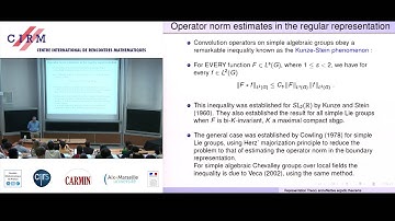 Amos Nevo: Representation theory, effective ergodic theorems, and applications - Lecture 2