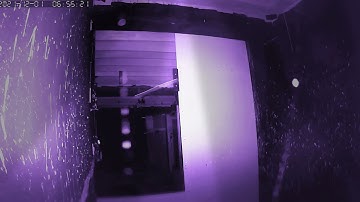 THC Swiftlet House Sp - 01-12-2021