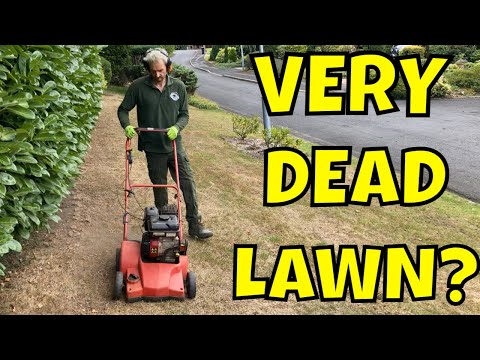 Video: Însacul de iarbă nu provoacă paie?