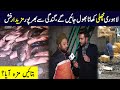 Lahori Fish Khana Bhool Jain Gay | Btain Maza Aya ? | Lahore Puchta Hai | Lahore Rang