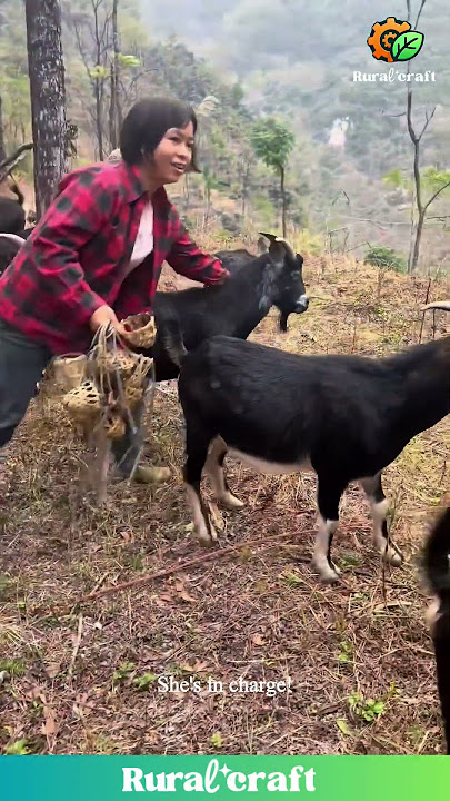 She's the Goat Whisperer! #goats #farmlife #countryliving