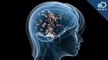 Why Scientists Are Making Brains Transparent