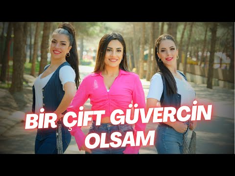 Bir Çift Güvercin Olsam - Halay - Aylin Demir