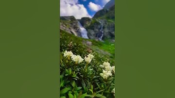 سورة الحجر بصوت خزاع البلوشي #القرآن_الكريم #راحة_نفسية #trendingshort #trending #اكسبلور#اجر_لي_ولك