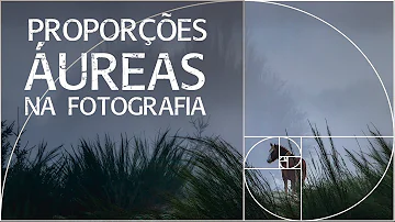 Como usar a proporção áurea na fotografia?