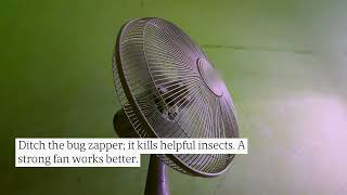Mosquito Control: Avoid These 3 Mistakes Florida Homeowners Make When Facing Infestations