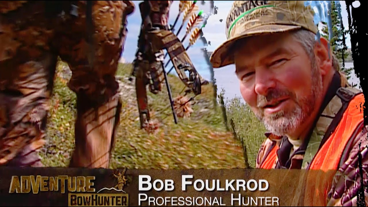 Mega Caribou in Quebec **2 Hunts** Bow and Broad heads only! YouTube