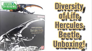 Diversity of Life on Earth Hercules Beetle UNBOXING!