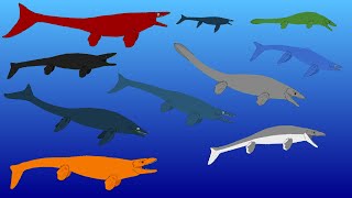 Sea Monsters - Mosasaurs - Animated Size Comparison - (Extinct Marine Reptiles)