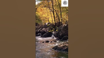 هو الحي لا إله إلا هو فادعوه مخلصين له الدين الحمد لله رب العالمين،سورة غافر،المنشاوي رحمه الله.