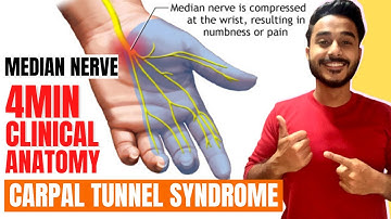 carpal tunnel syndrome clinical anatomy of median nerve | median nerve clinical anatomy