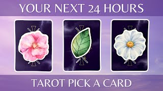 Your Next 24 Hours (Or Special Day) ⏰ Tarot Pick a Card