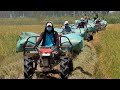 Awesome, Best team work of mini tractor Kubota in transporting rice production | Best tractor work