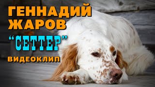 Сеттер - Геннадий Жаров (Видеоклип 2015)