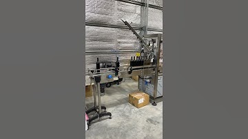 Winequip Borelli 10 Head Rinser Filler Corker Ropp Capper with ENOS T4 Labeller