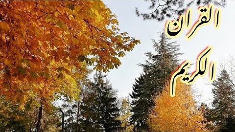 القران الكريم بدون حقوق طبع ونشر