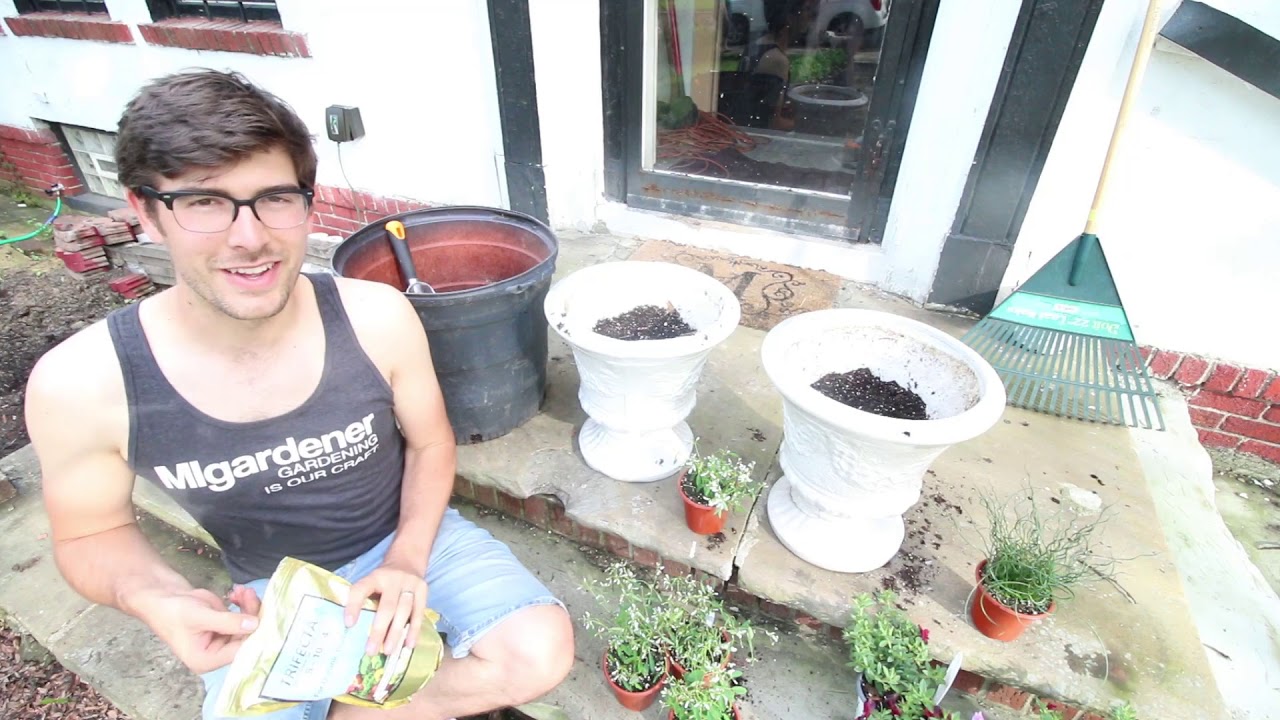 porsche macan Planting Up Some Simple Porch Pots That Anyone Can Do