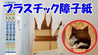 猫の障子破り対策でプラスチック障子紙に張替えました Change The Prastis Japanese Sliding Door From The Paper One Youtube