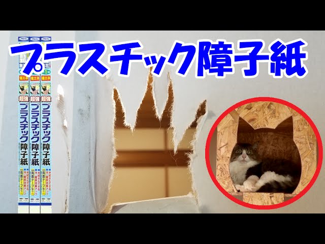 猫の障子破り対策でプラスチック障子紙に張替えました Change The Prastis Japanese Sliding Door From The Paper One Youtube